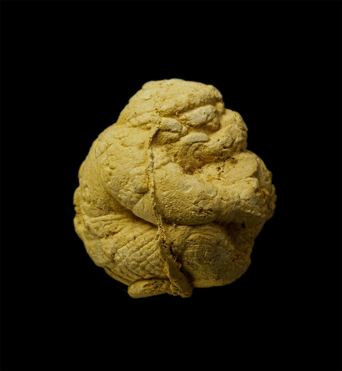 12May25 (11)p.jpg - ลูกอมหนุมานแผลงฤทธิ์ เนื้อผงรายกุมาร หลวงพ่อสาคร ปี2550 วัดหนองกรับ อ.บ้านค่าย จ.ระยอง พระครูมนูญธรรมวัตร (หลวงพ่อสาคร มนุญโญ) เกจิชื่อดังเมืองระยองศิ [..] | https://kamulet.in.th